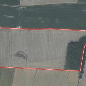 Aerial 1