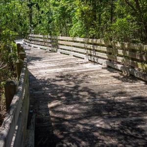 Brunswick Forest Ammenities-29