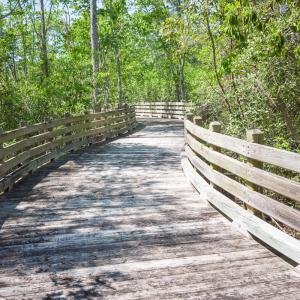 Brunswick Forest Ammenities-26