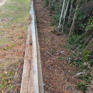 PXL_20250731_132348340