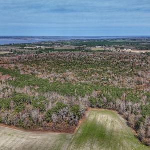 dji_fly_20260314_125158_0643_17735080376