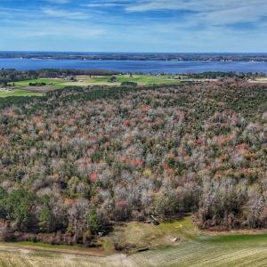 dji_fly_20260314_124550_0627_17735080422