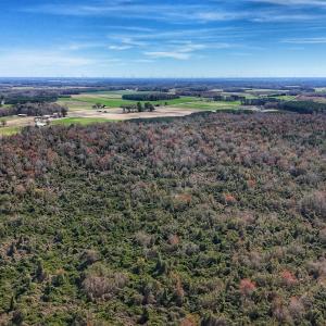 dji_fly_20260314_124946_0635_17735080398