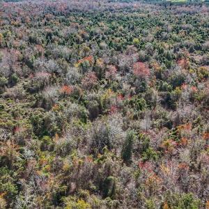 dji_fly_20260314_130936_0657_17735080335