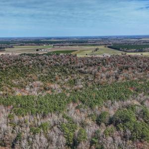 dji_fly_20260314_125110_0640_17735080384