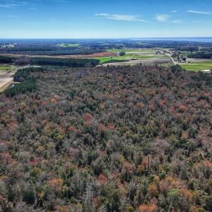 dji_fly_20260314_124736_0631_17735080410