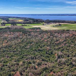 dji_fly_20260314_124826_0632_17735080407