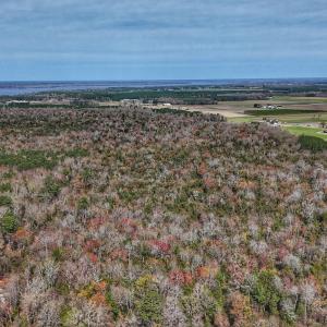 dji_fly_20260314_125310_0647_17735080365