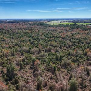 dji_fly_20260314_131018_0659_17735080326