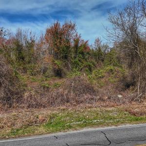 dji_fly_20260314_125740_0655_17735080341