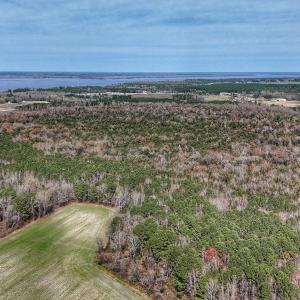 dji_fly_20260314_125216_0644_17735080373