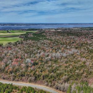 dji_fly_20260314_125430_0651_17735080354