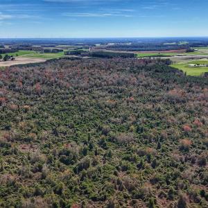 dji_fly_20260314_124922_0634_17735080401