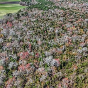 dji_fly_20260314_125534_0653_17735080348