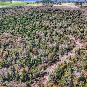 dji_fly_20260314_124714_0630_17735080413