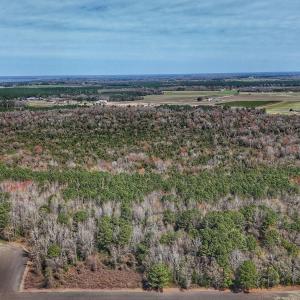 dji_fly_20260314_125124_0641_17735080381