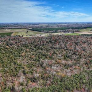 dji_fly_20260314_125036_0638_17735080389