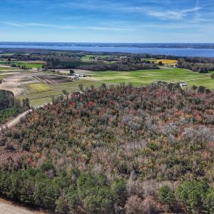 dji_fly_20260314_124516_0625_17735080428