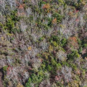 dji_fly_20260314_131030_0660_17735080323