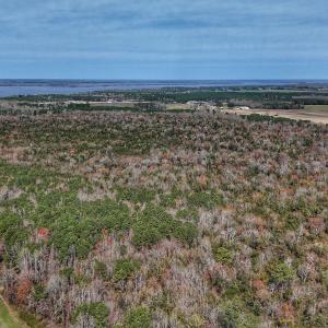 dji_fly_20260314_125232_0645_17735080370