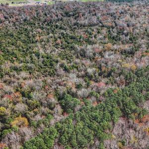 dji_fly_20260314_125022_0637_17735080393