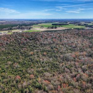 dji_fly_20260314_125004_0636_17735080396