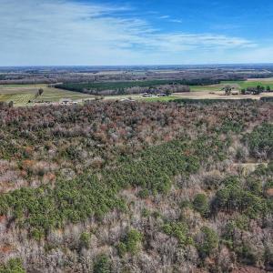 dji_fly_20260314_125056_0639_17735080387