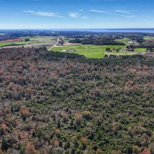 dji_fly_20260314_124830_0633_17735080404