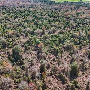 dji_fly_20260314_130956_0658_17735080330