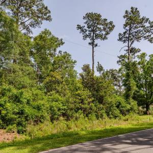 1-web-or-mls-3014 Oakley Circle-101