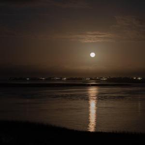 full_moon-4