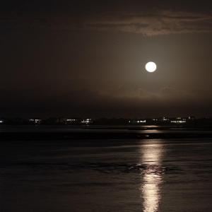 full_moon-3