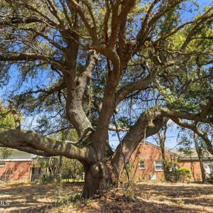 016_8612_bald_eagle_lane-13_771