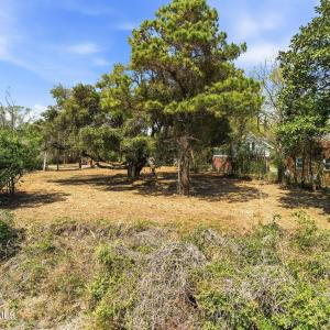 013_8612_bald_eagle_lane-10_229