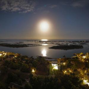 033_8612_bald_eagle_lane_full_moon-10_96
