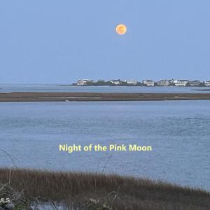 Night Of Pink Moon