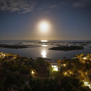 031_8612_bald_eagle_lane_full_moon-8_311