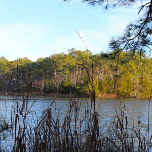 Lot with Water frontage