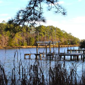 Neighbor's Dock