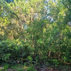 20230714043623708274000000-o