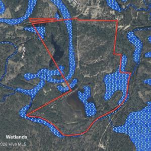 134.5 Moore Wetlands