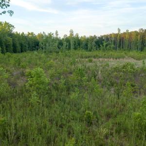 VanceProperty-15