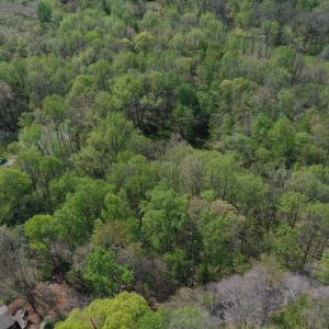 DJI_0640