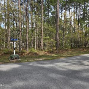 901 Bee Tree Ct lot photo