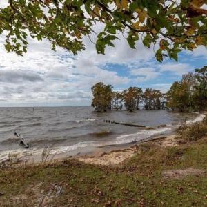 Community Park/Beach