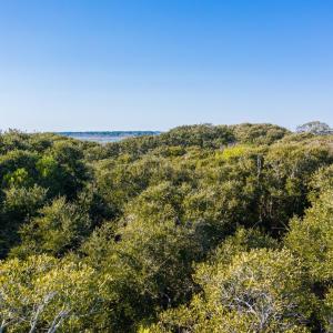 DJI_0439-20ft (Large)