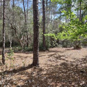 Image 1 6864 Beckman - Rear