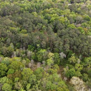 18-DJI_20260403151300_0074_D