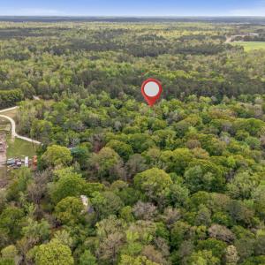 15-DJI_20260403151148_0065_D-Edit