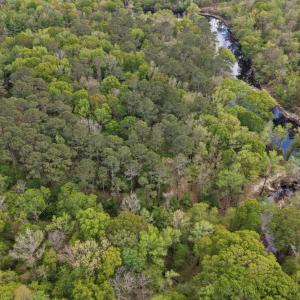 19-DJI_20260403151314_0077_D